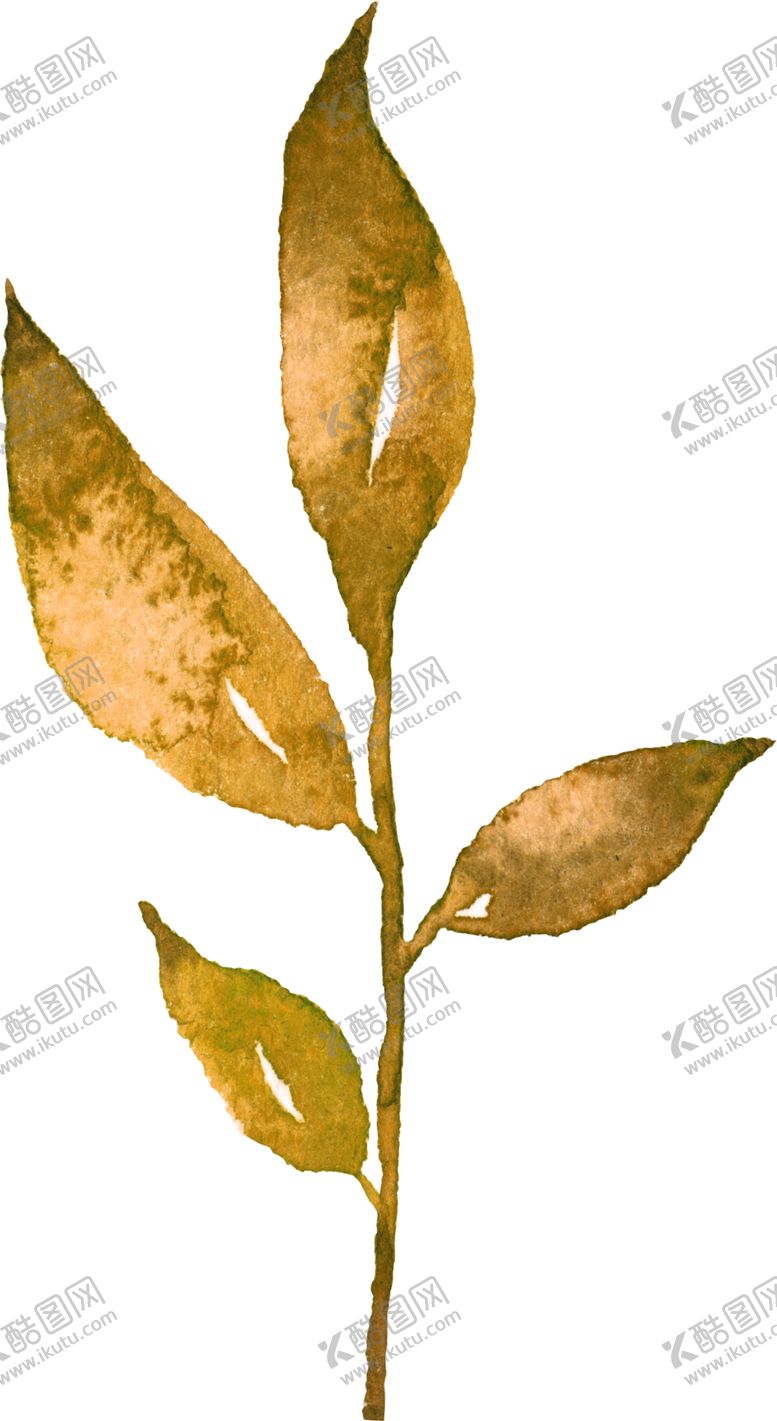 编号：80619309210709195993【酷图网】源文件下载-水彩手绘花卉花朵植物