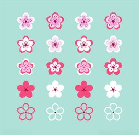 樱花