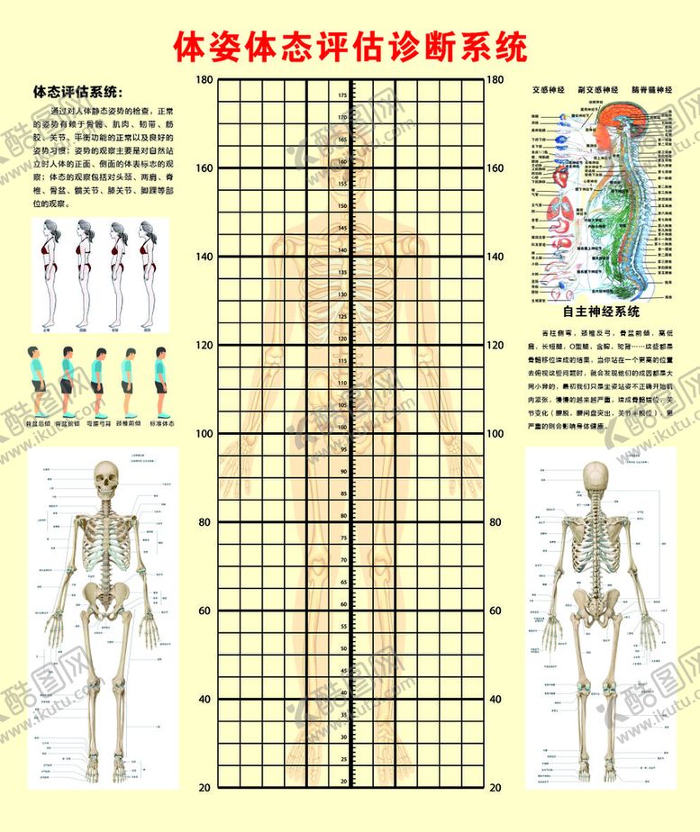 编号：83641009211027444072【酷图网】源文件下载-体态评估表