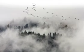 水墨山插画背景丹青