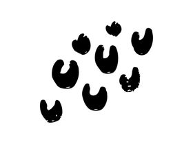 卡通系列插画图片