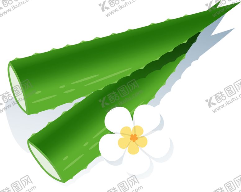 编号：30948009231939541334【酷图网】源文件下载-绿色相框