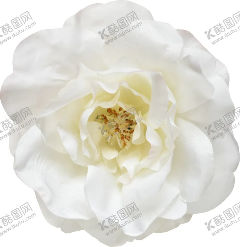编号：42783906271839351022【酷图网】源文件下载-复古花朵植物图案