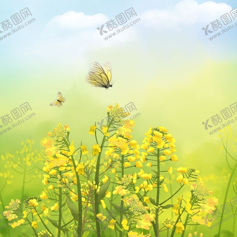 编号：46347205081233416115【酷图网】源文件下载-黄色装饰油菜花元素