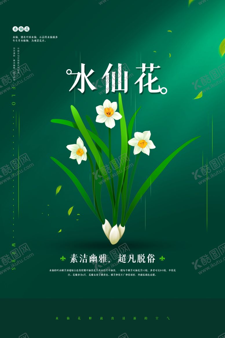 编号：21637905172152459529【酷图网】源文件下载-水仙花花朵活动宣传海报素材