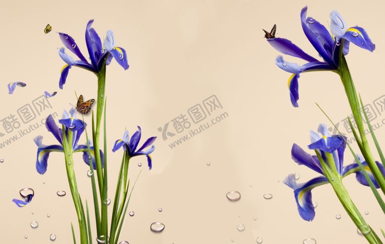 编号：69664205041435029883【酷图网】源文件下载-紫色水仙花水仙花