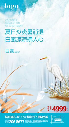 白露海报