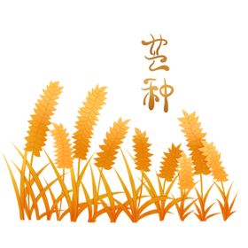 芒种海报