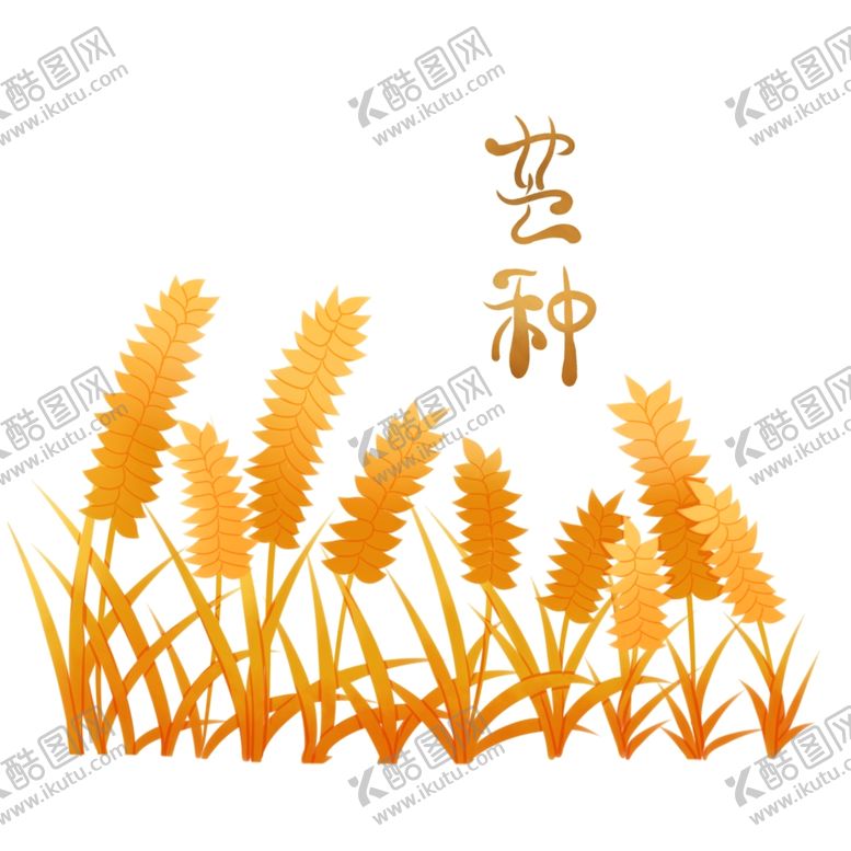 编号：45987106231415174849【酷图网】源文件下载-芒种芒种海报二十四节气