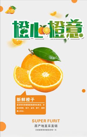 橙子海报