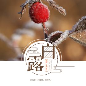 白露海报手绘高大上大暑古色