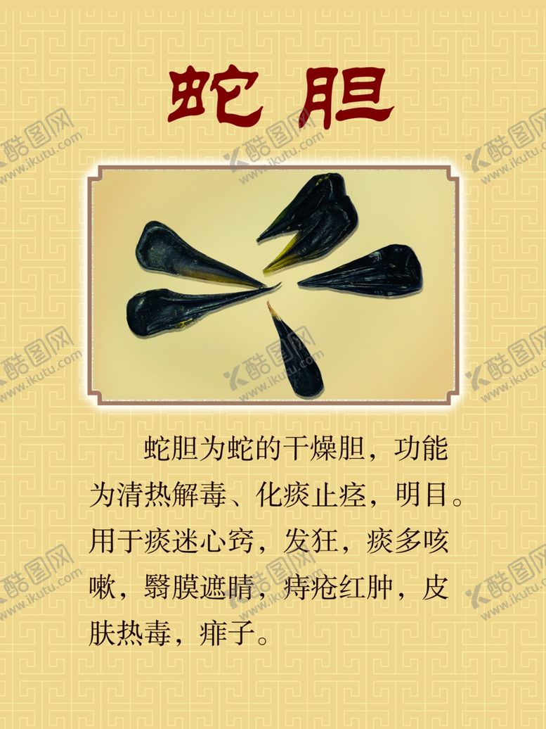编号：14140904222010526136【酷图网】源文件下载-蛇胆海报
