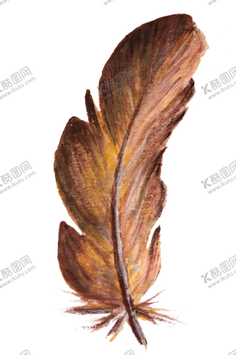 编号：69745402171138542277【酷图网】源文件下载-羽毛 素材