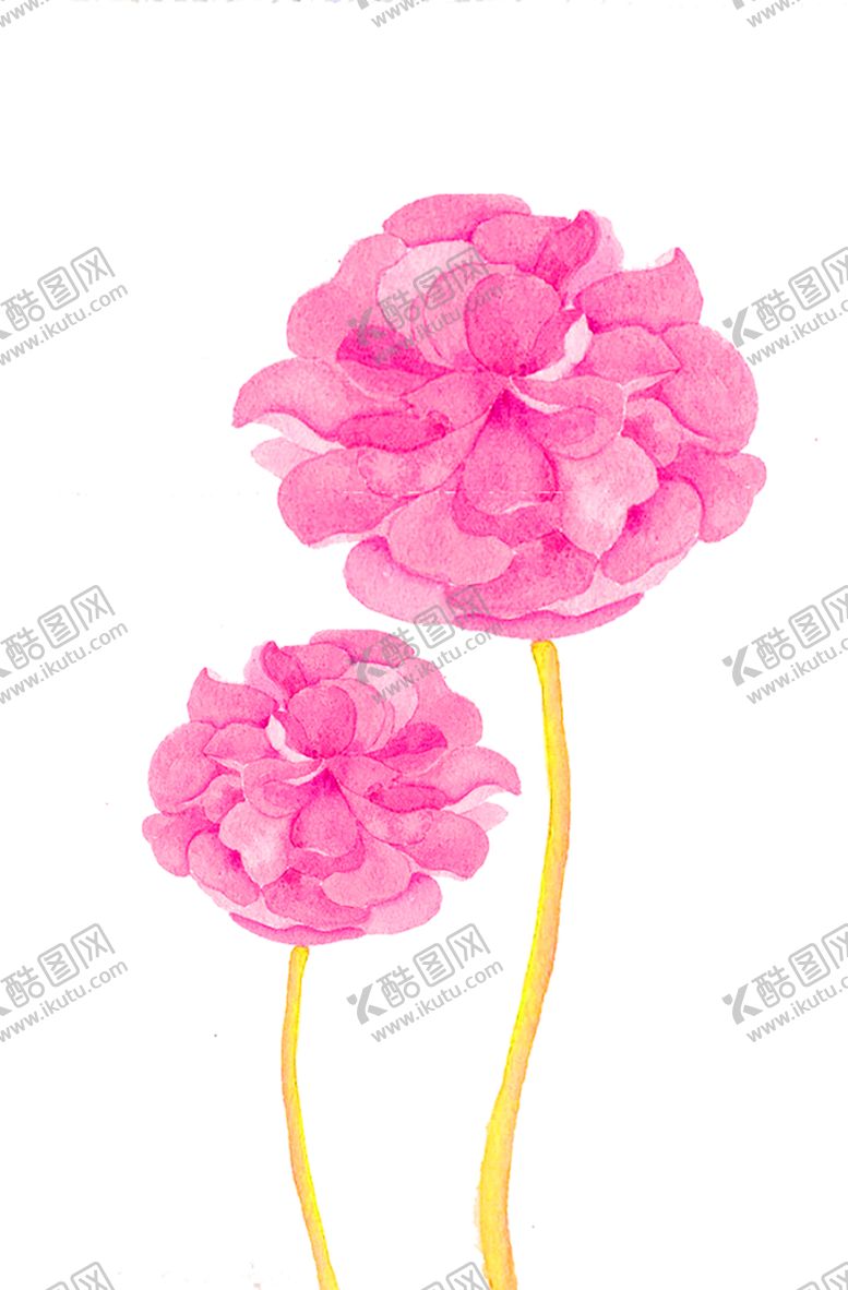 编号：40783207050359237012【酷图网】源文件下载-花素材
