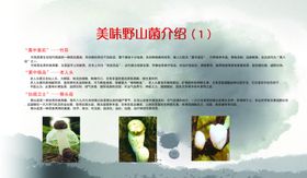 锅仔野山菌
