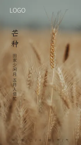 芒种海报节气节气海报节气海报