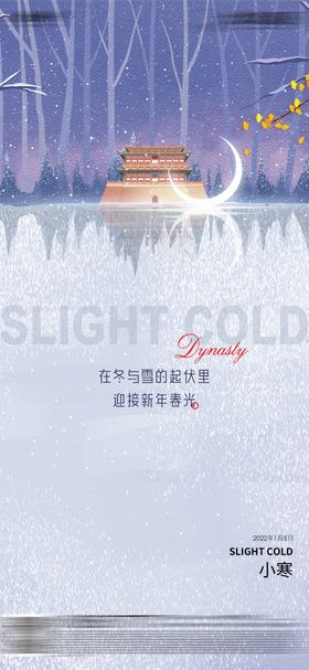 小寒节气海报