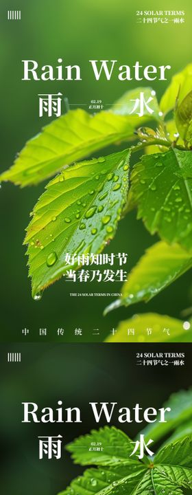 雨水节气系列海报