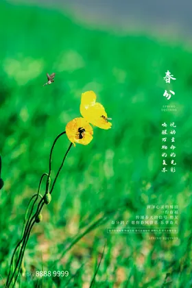 春分山河微信促销字体