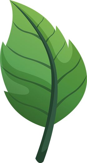 绿叶 png 植物 矢量图  