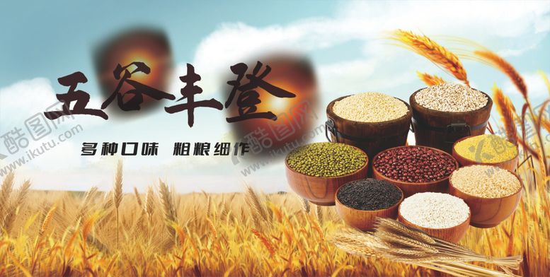编号：74282804060154581673【酷图网】源文件下载-五谷杂粮五谷丰登