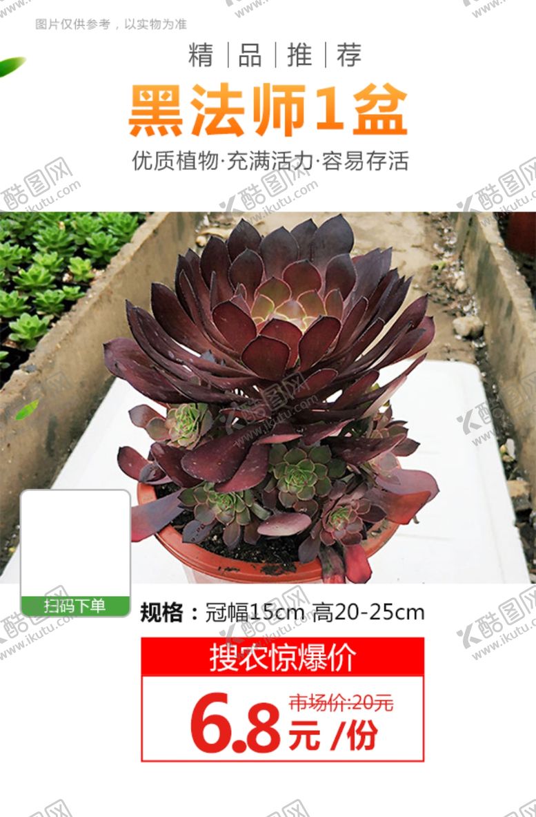 编号：87155907030534351372【酷图网】源文件下载-黑法师1盆推广图