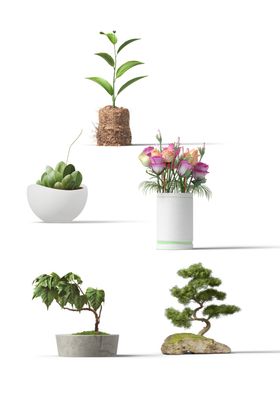 绿植水培家居简约合成海报素材