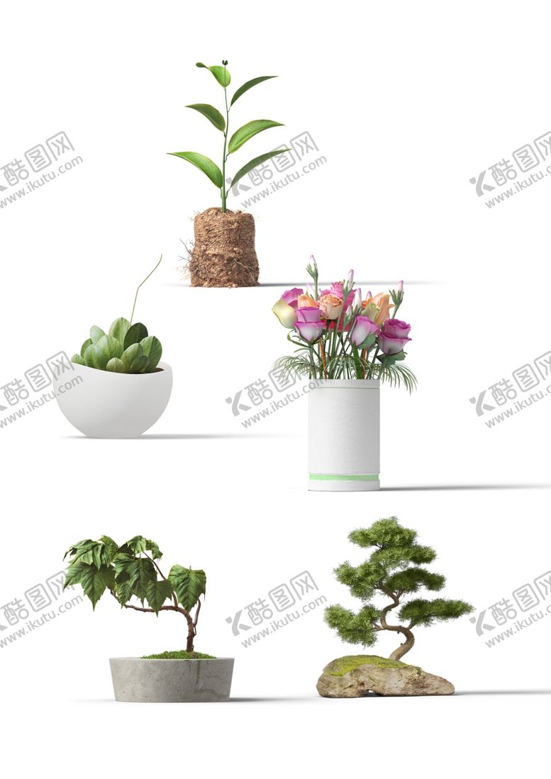 编号：19217706282250481838【酷图网】源文件下载-绿植水培家居简约合成海报素材