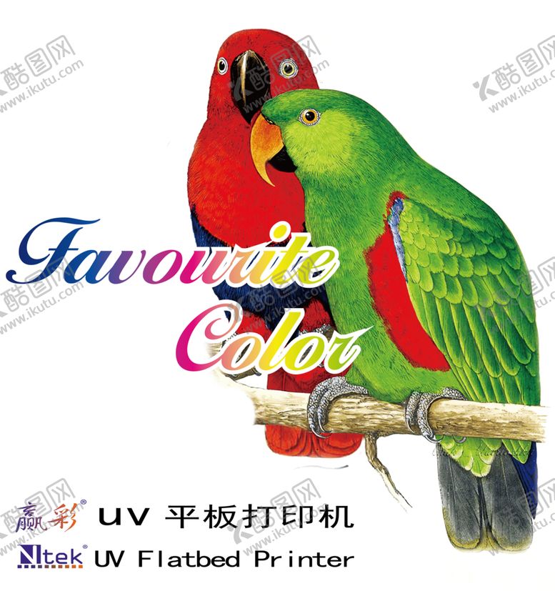 编号：95651709240212205000【酷图网】源文件下载-鹦鹉