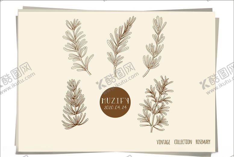 编号：78709610101627339574【酷图网】源文件下载-5款入迷迭香手绘稿