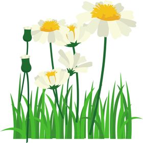 绿色边框中式花纹回形纹红植物树叶