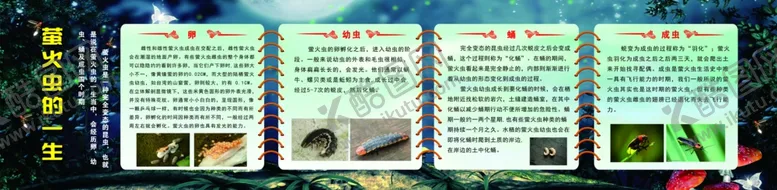 编号：44093404301737525424【酷图网】源文件下载-萤火虫
