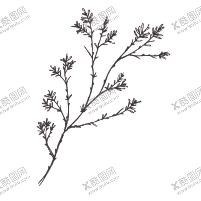 编号：77973310260953555558【酷图网】源文件下载-简笔绘画植物花朵图谱
