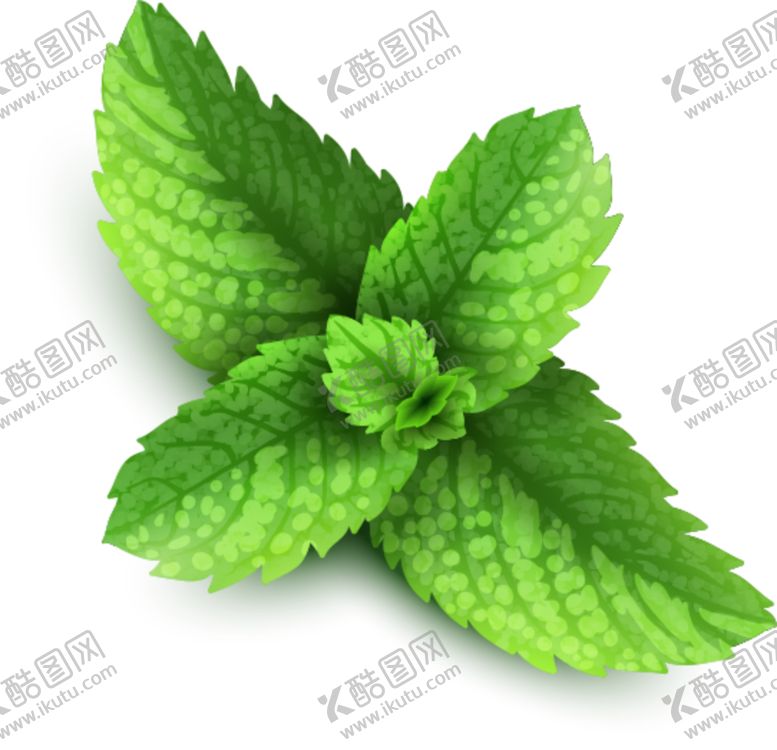 编号：72373806290740105603【酷图网】源文件下载-树叶