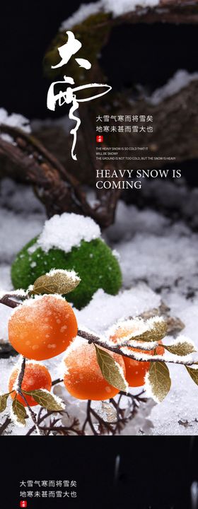 大雪节气海报地产柿子二十四