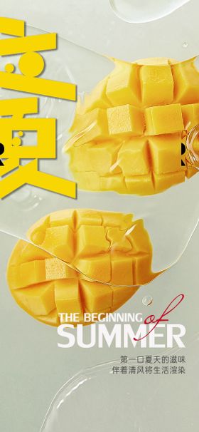 立夏节气海报芒果二十四