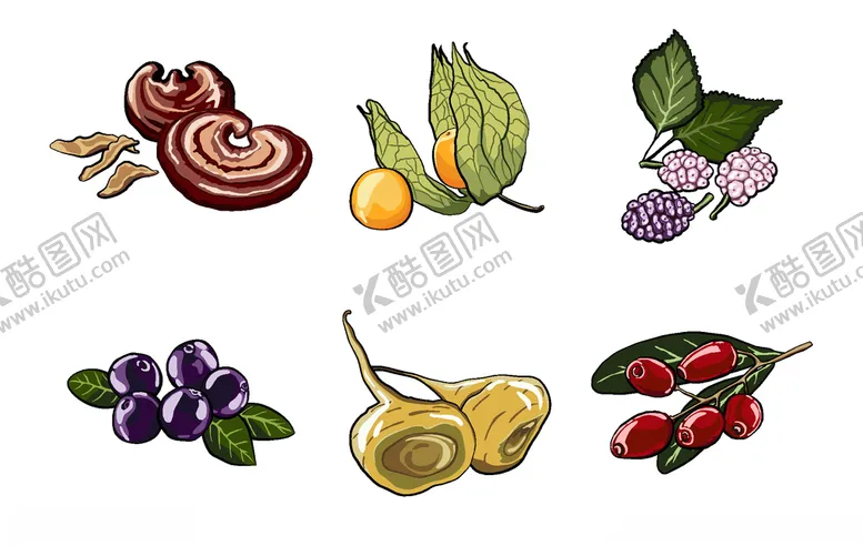 编号：86627507020038201193【酷图网】源文件下载-矢量厨房蔬菜食品素材