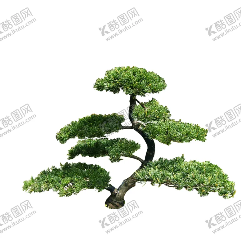 编号：24487106271516214516【酷图网】源文件下载-绿色相框
