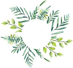 北欧小清新抽象花卉植物装饰画