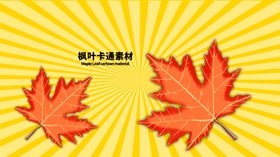 分层黄色放射黄金分割枫叶手绘素