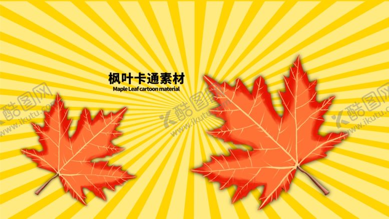 编号：37053205110903531721【酷图网】源文件下载-分层黄色放射黄金分割枫叶手绘素