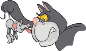 猫和老鼠