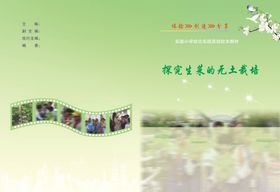 探究生菜的无土栽培