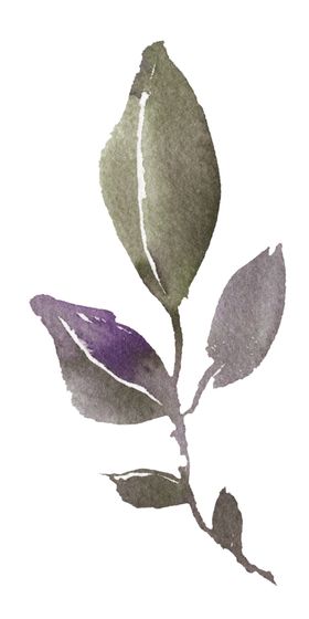 波西米亚风格水彩花朵