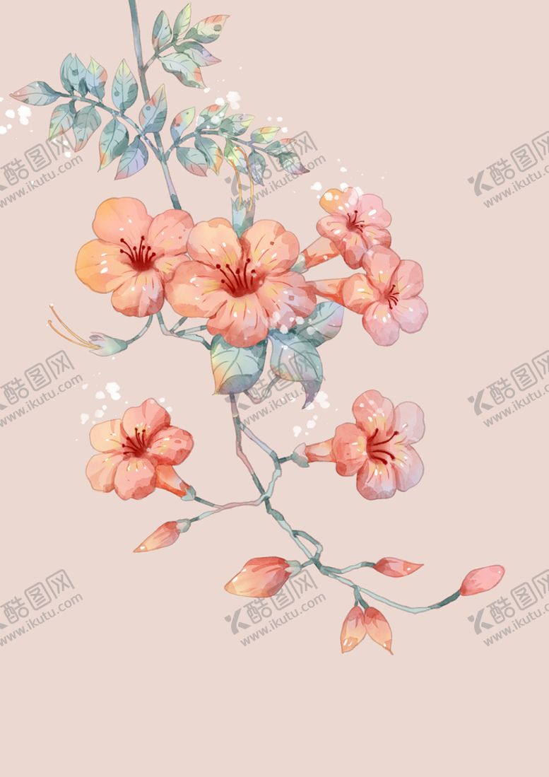 编号：08154209241000398036【酷图网】源文件下载-凌霄花