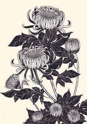 纯色绘画植物花朵