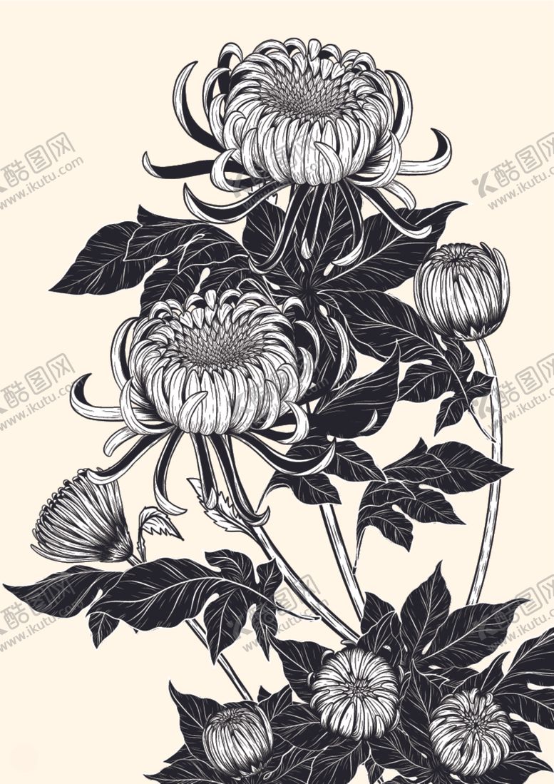 编号：72326410300033267808【酷图网】源文件下载-纯色绘画植物花朵