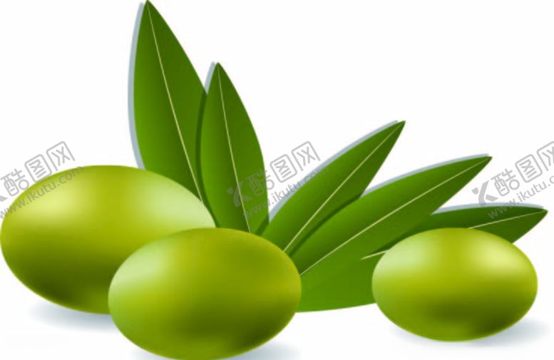 编号：25089010290510416428【酷图网】源文件下载-橄榄