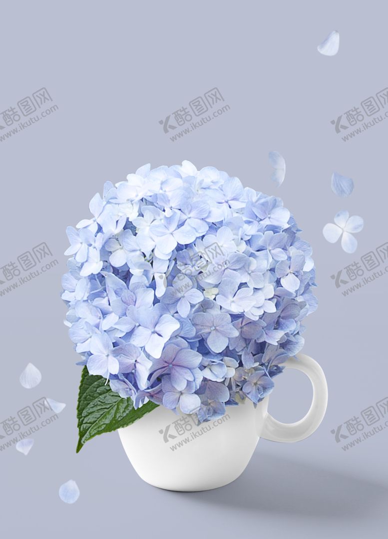 编号：43705810022226501062【酷图网】源文件下载-鲜花