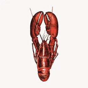 矢量卡通手绘龙虾插画